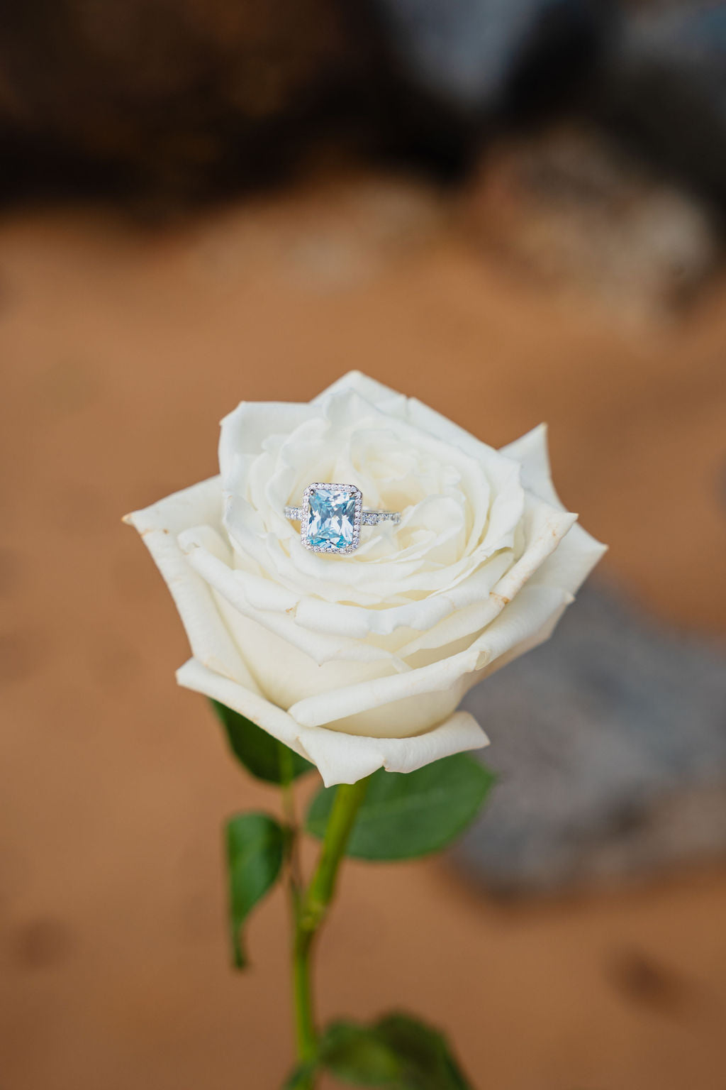 Aquamarine Bundle