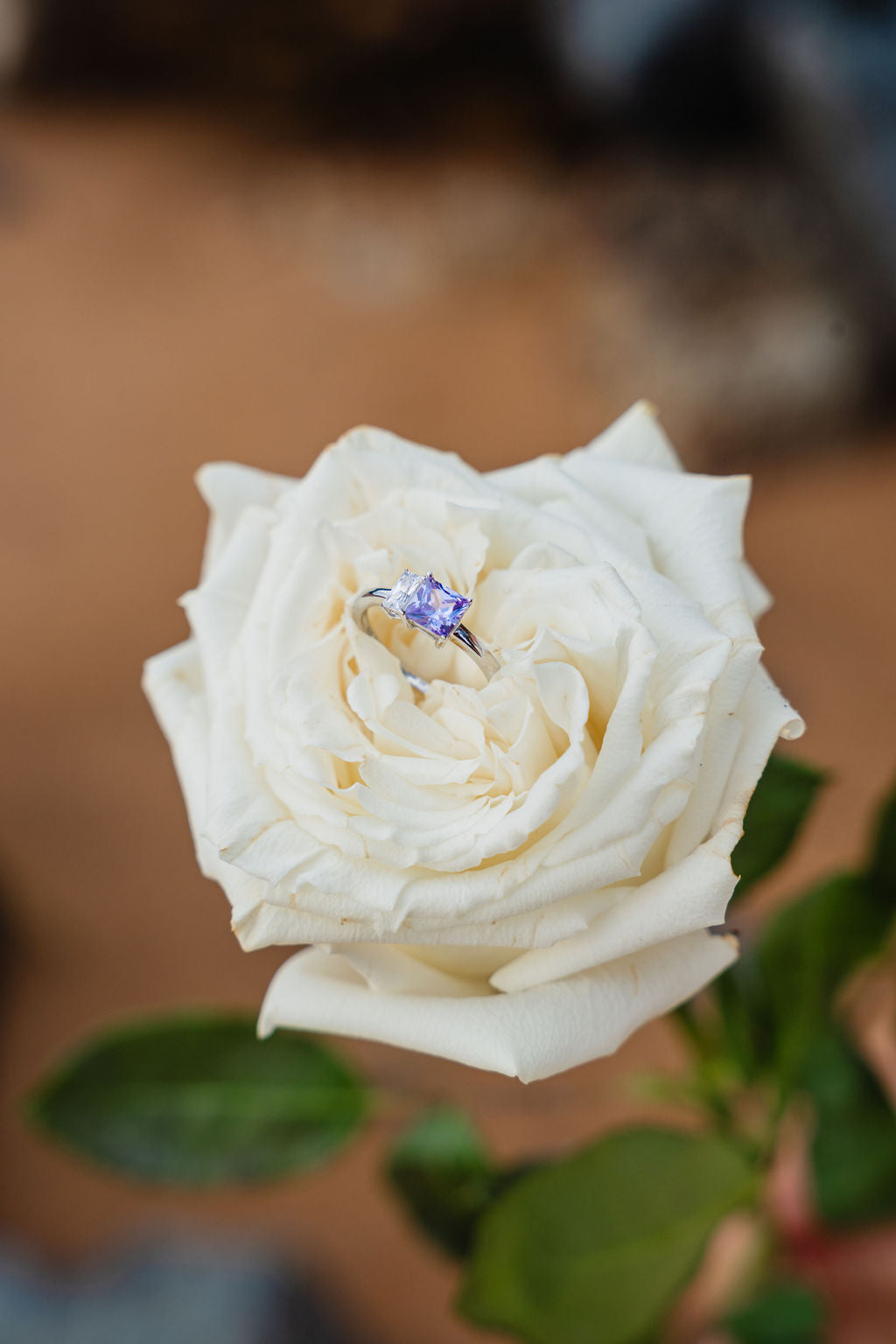 Joy Ring